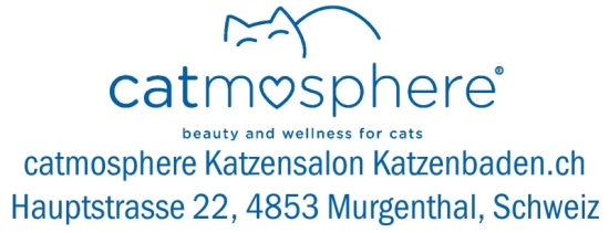 Grafikstempel erstellen