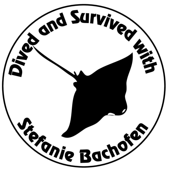 tauchstempel-337078.jpg 337078