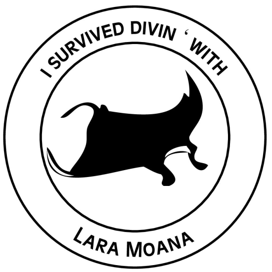 Adressstempel ohne Rahmen