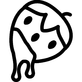 Schoko-Erdbeere