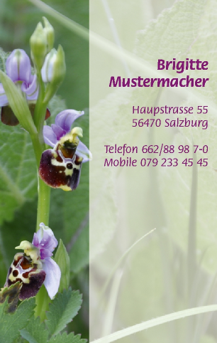 Vorlage 5432