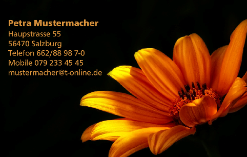 Vorlage 5969