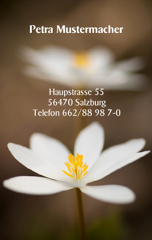 Vorlage 5994