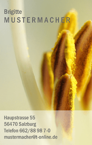 Vorlage 6052