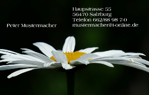Vorlage 6065