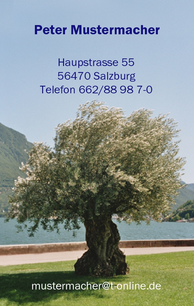 Vorlage 722