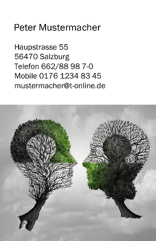 Vorlage 7350